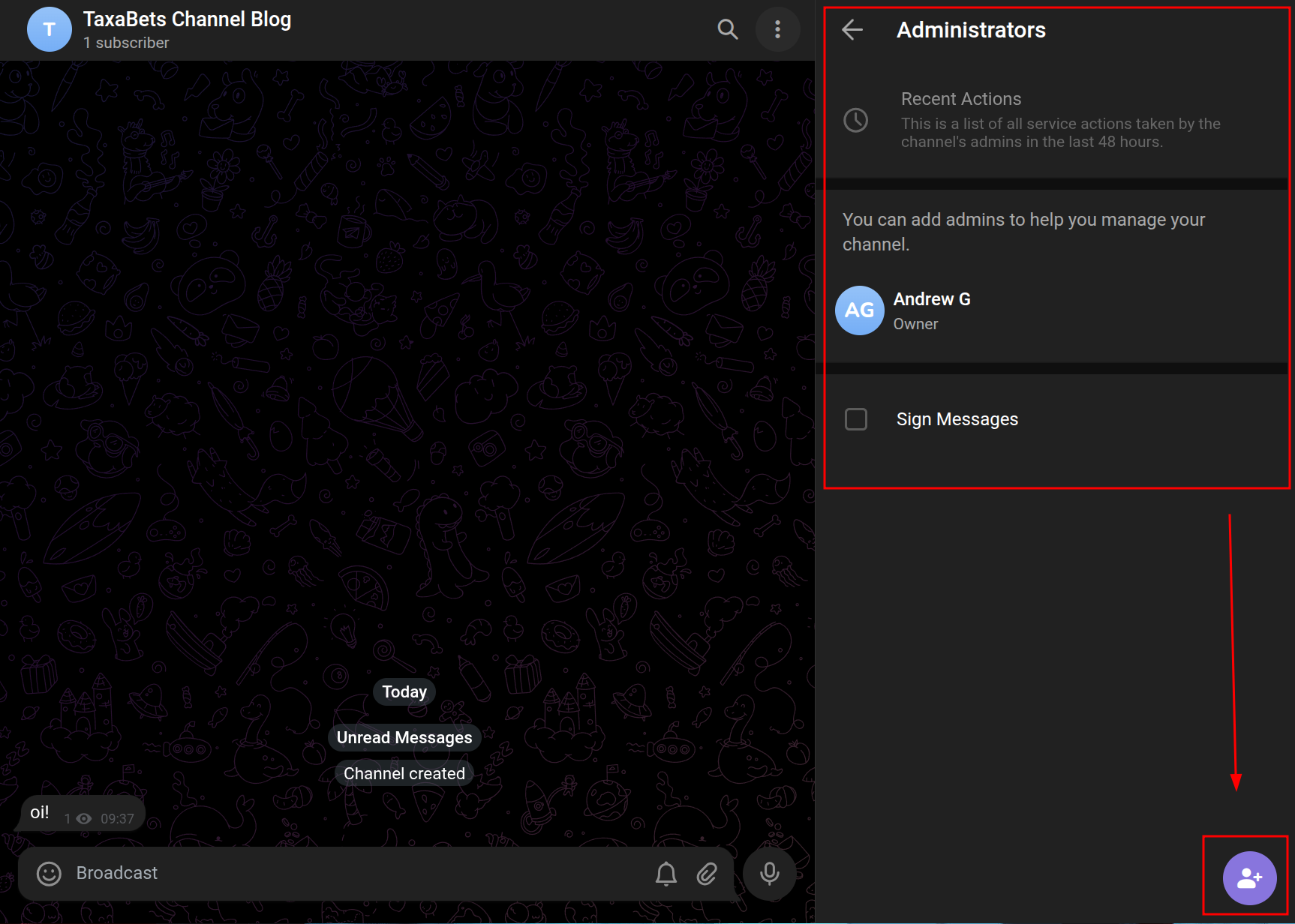 Adicionando o bot como administrador após confirmar a criação do canal.